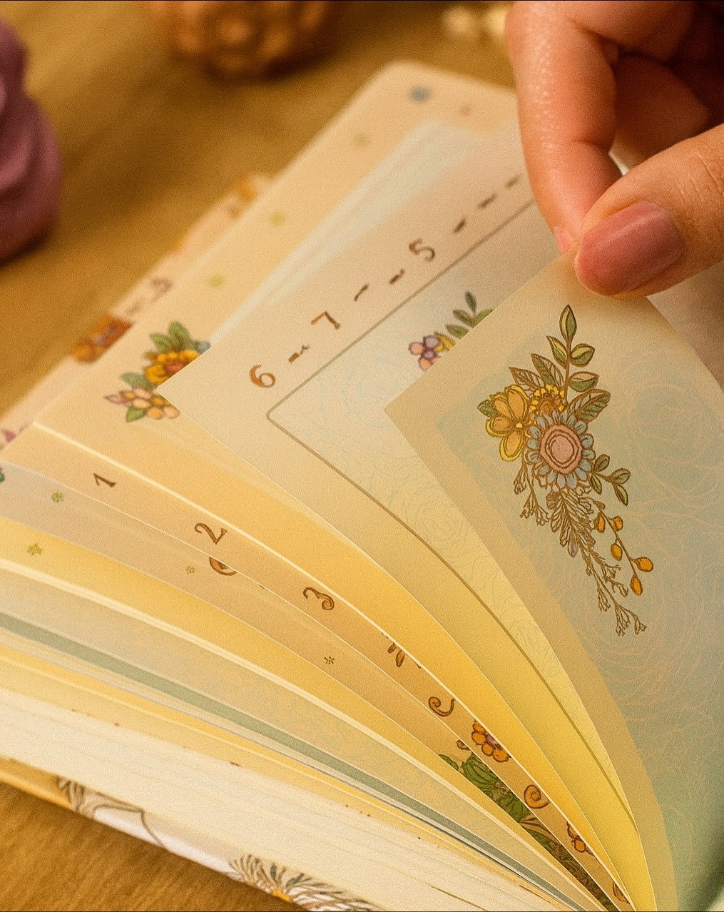 The Sanctuary Journal