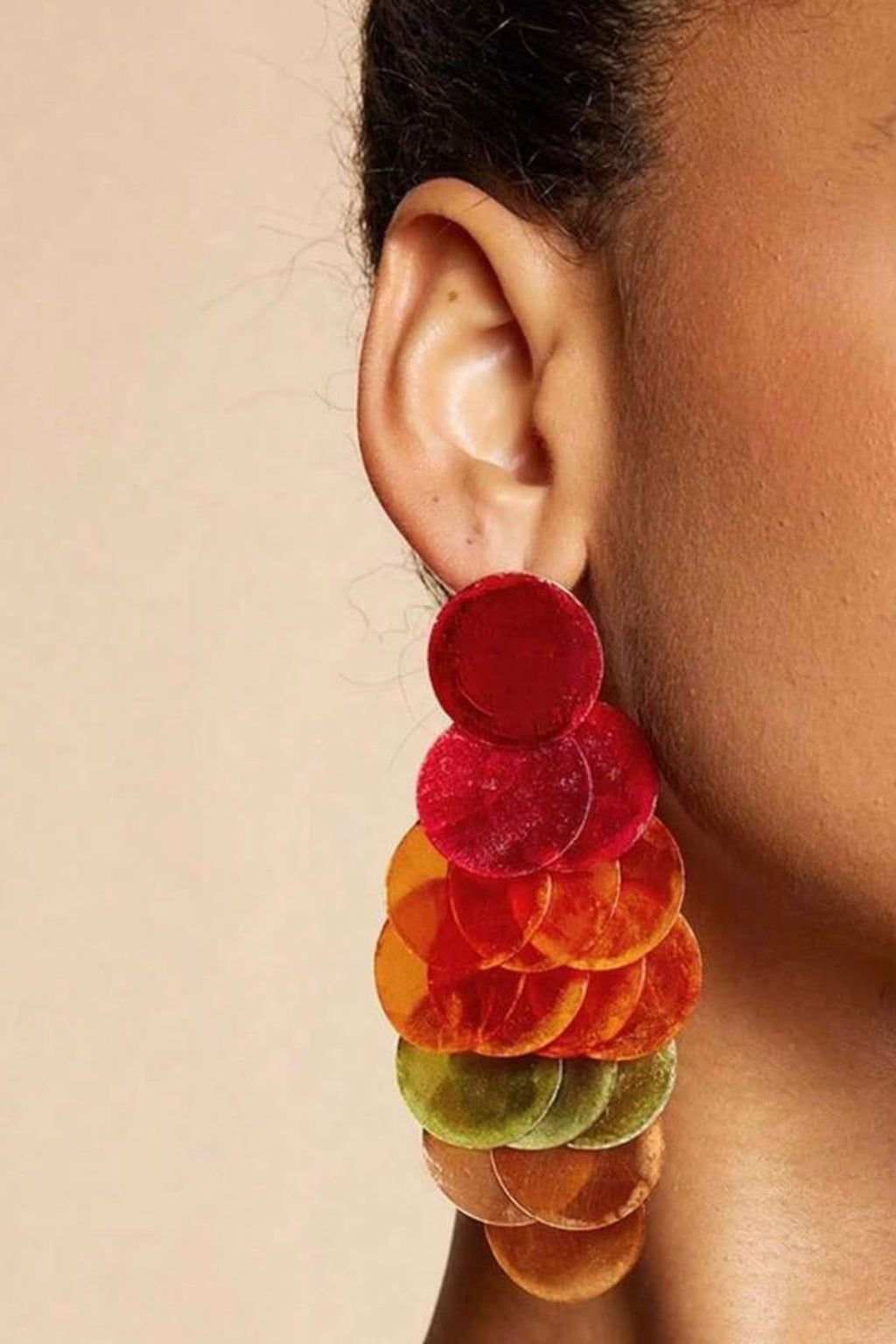 Shell Multicolour Earrings